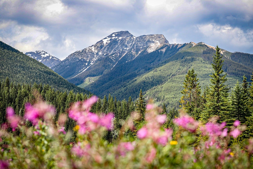 Glacier National Park offering some astonishing views